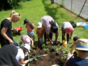 photo Atelier de jardinage intergénérationnel