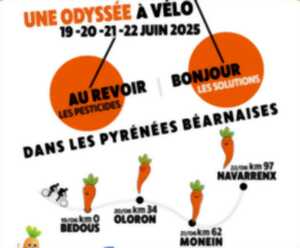 photo Etape du tour des carottes