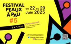 photo Festival Peaux à Pau #5
