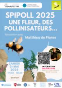 photo Rencontre avec Mathieu de Flores : Une fleur, des pollinisateurs...