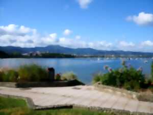 photo Atelier terrain Arriskua - Baie de Txingudi, changement climatique et risques en estuaire