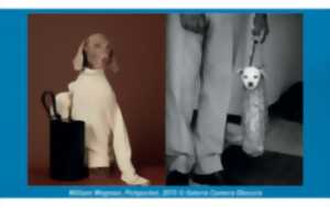 photo Exposition: Des chiens et des hommes