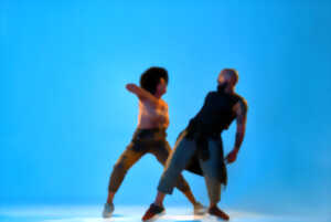 photo Musique et danse contemporaine au Musée Bernard d'Agesci