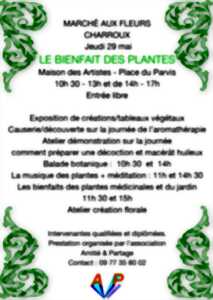 photo Marché aux fleurs