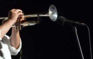 photo Jazz aux villages : Hommage à Michel Legrand