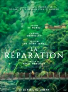 photo Cinéma Arudy : La réparation