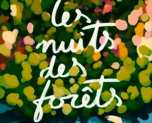 photo Festival nuit des forets