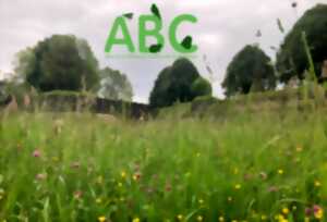 photo Sortie biodiversité et habitats