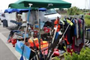 photo Puces nautiques