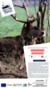 photo Exposition Photo : Observons la nature de Bernard Duchateau