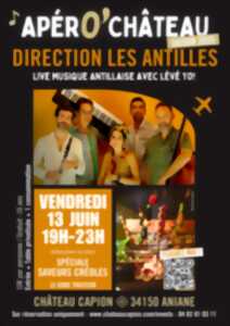 photo APERO CHATEAU SOIREE AMBIANCE ANTILLAISE