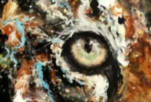 photo Exposition : Animal