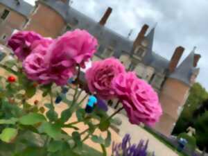 photo Les Roses Royales