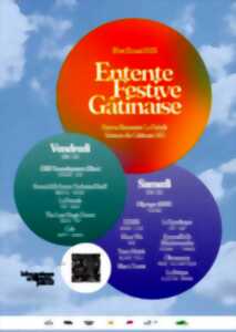 photo Festival Entente Festive Gâtinaise - 3e édition