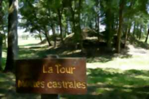 photo Visite guidée du site des mottes castrales de La Tour