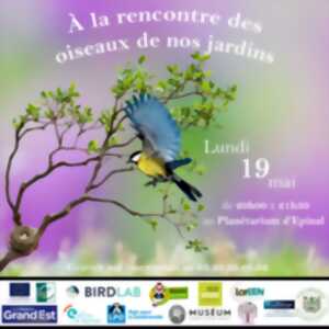 photo Conférence: À la rencontre des oiseaux de nos jardins
