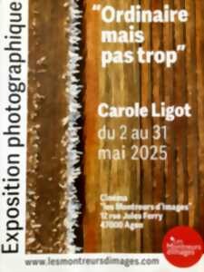 photo Exposition de photographies : Ordinaire, mais pas trop…