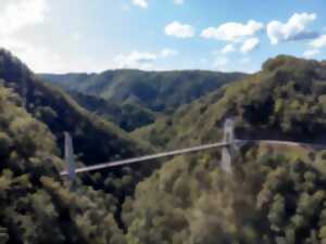 photo Au pied du Viaduc, des gorges sauvages...