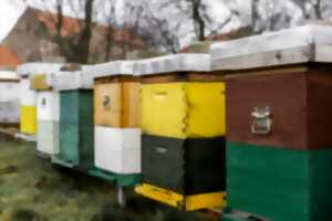 photo Les ateliers de L'Inter'Val, semaine de la parentalité : Atelier pédagogique “vie de l’abeille”