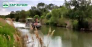 photo CROISIÈRE NATURE SUR LE CANAL DU MIDI