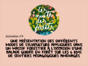photo Les Nuits des Forêts : Découverte de la forêt / animation 4