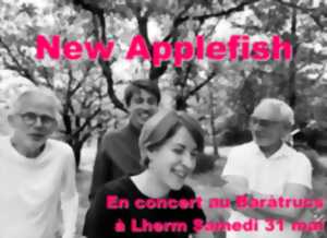 photo Concert au Bar à Trucs: New Applefish