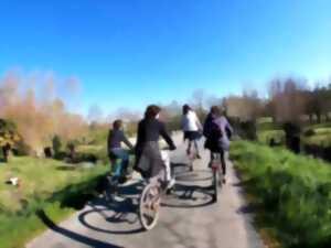 photo Vélo + Barque guidée à Coulon