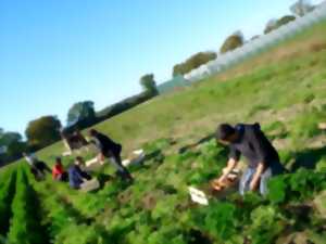 photo Jard’Insolite : un jardin bio, solidaire et vivant