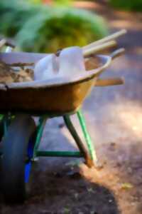photo Vide-jardin et vide-greniers