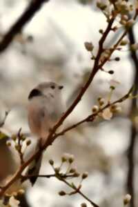 photo Animation nature : Chez moi la nature est chez elle