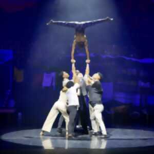 photo Zip Zap Circus