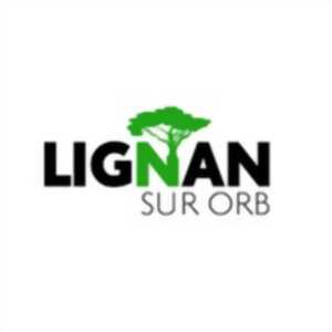 photo LES DIJOUS