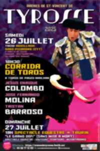 photo Grand défi : spectacle équestre et taurin