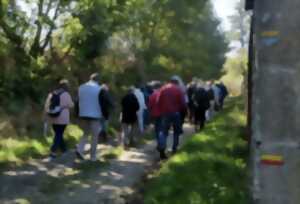 photo Festival du Haut Limousin - Rendez-vous nature et patrimoine - De Mortemart à Montrol-Sénard