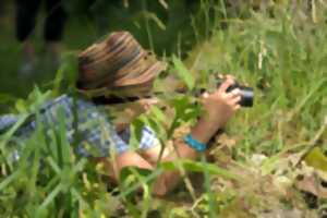 photo Concours photo