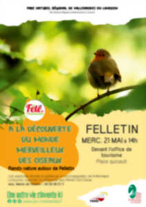 photo Fête de l'écotourisme : Rando nature