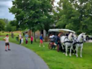 photo Balade en calèche à La Borde