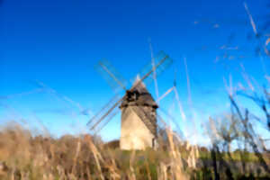 photo Visite du moulin à vent Tol