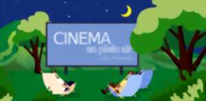 photo CINÉMA SOUS LES ÉTOILES - SAINT-VINCENT-DE-BARBEYRARGUES