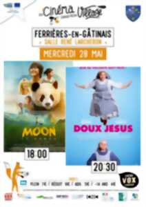 photo Cinéma à Ferrières