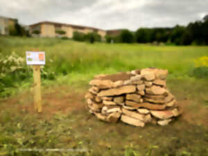 photo Construire un hibernaculum ef famille