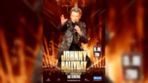 photo Concert de Johnny Hallyday au Cinéma Les enfants du paradis