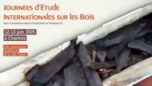 photo Journées d'Étude Internationales sur les Bois
