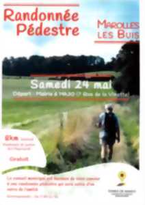 photo Randonnée pédestre