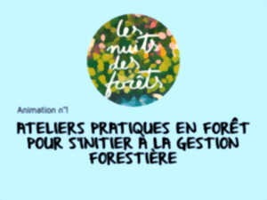 photo Les Nuits des Forêts : Découverte de la forêt / animation 1