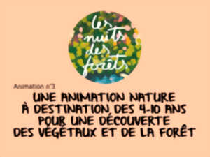 photo Les Nuits des Forêts : Découverte de la forêt / animation 3