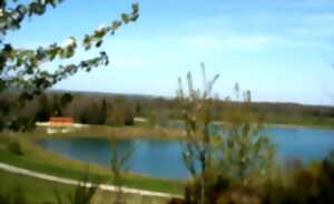 photo Balade nature : Haies et Bocages