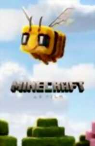 photo Cinéma : Minecraft, Le Film