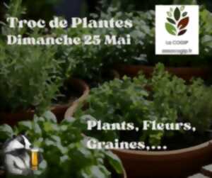 photo Troc de plantes