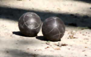 photo Concours de pétanque triplette